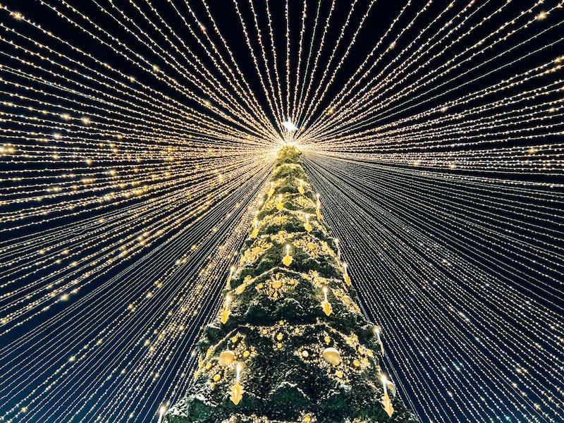 Paseo para ver las luces de Navidad
